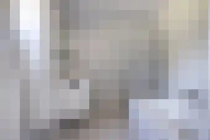 Zandberg 9 Maasbree thumbnail 23