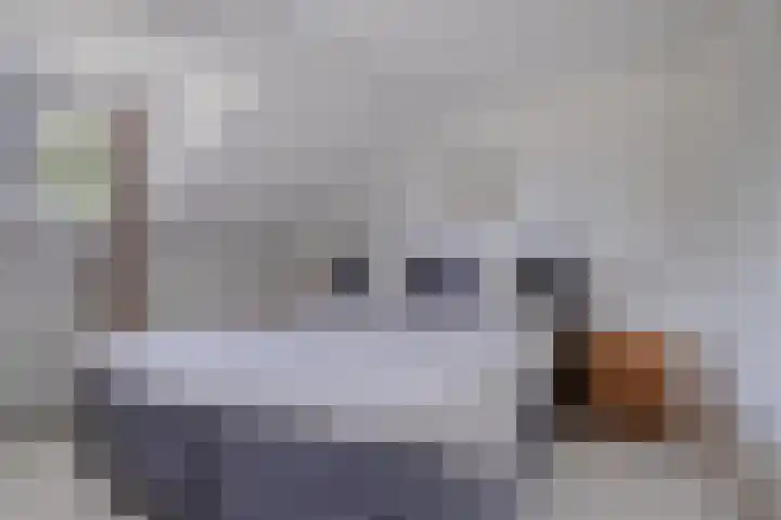 Zandberg 9 Maasbree thumbnail 30