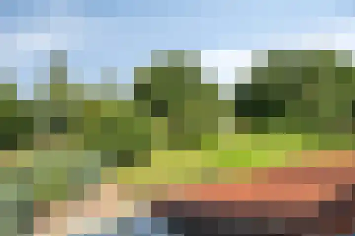 Zandberg 9 Maasbree thumbnail 31