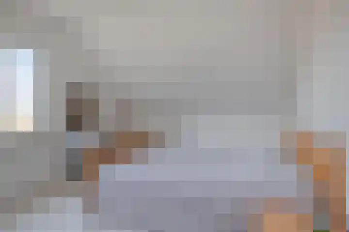 Zandberg 9 Maasbree thumbnail 32