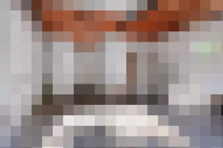 Zandberg 9 Maasbree thumbnail 38