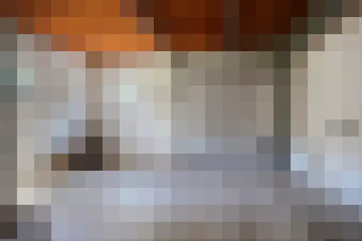 Zandberg 9 Maasbree thumbnail 39
