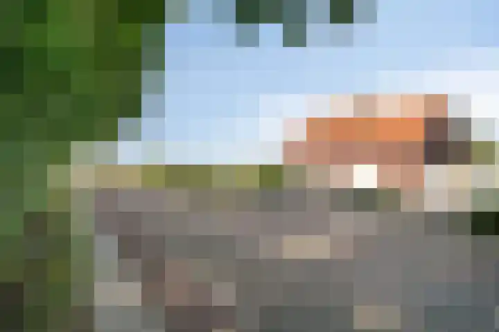 Zandberg 9 Maasbree thumbnail 4