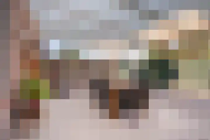 Zandberg 9 Maasbree thumbnail 40