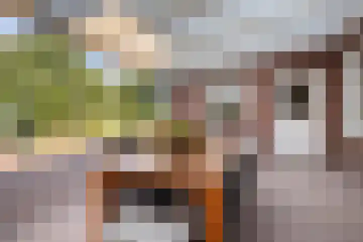 Zandberg 9 Maasbree thumbnail 41