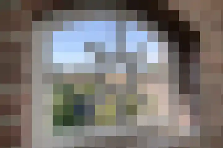 Zandberg 9 Maasbree thumbnail 42