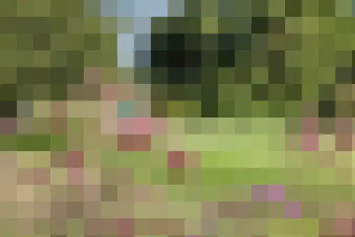 Zandberg 9 Maasbree thumbnail 44