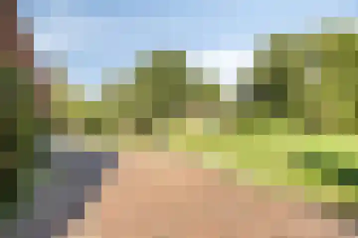 Zandberg 9 Maasbree thumbnail 45