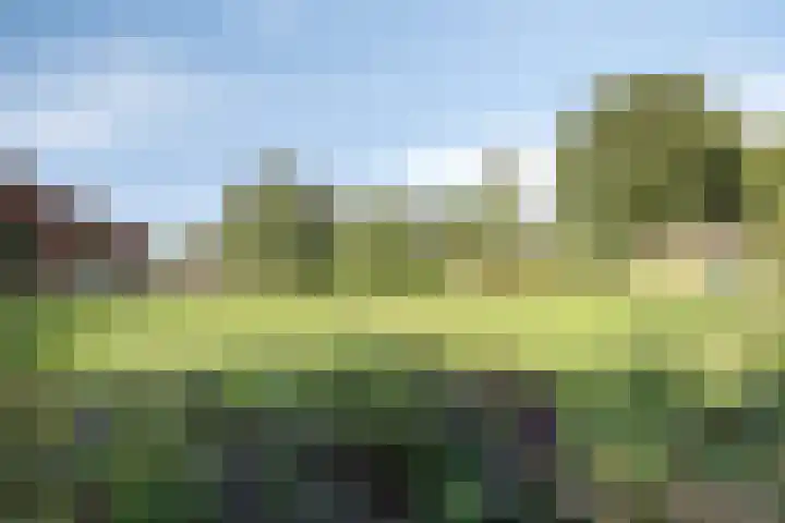 Zandberg 9 Maasbree thumbnail 46