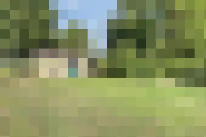 Zandberg 9 Maasbree thumbnail 47