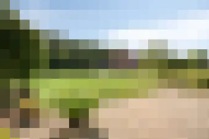 Zandberg 9 Maasbree thumbnail 48