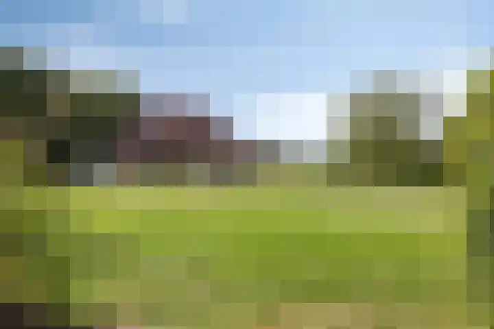 Zandberg 9 Maasbree thumbnail 49