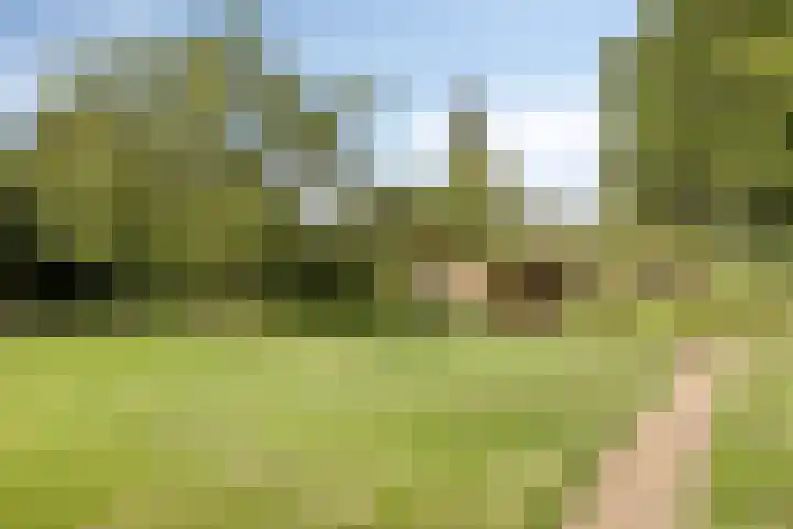Zandberg 9 Maasbree thumbnail 50