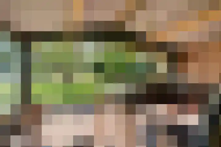 Zandberg 9 Maasbree thumbnail 53