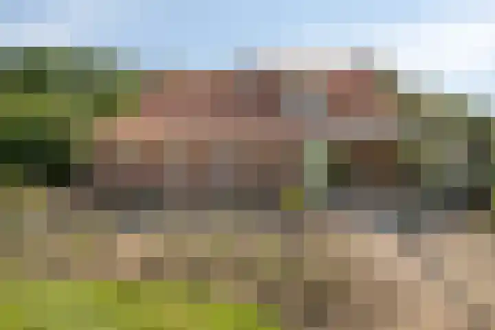 Zandberg 9 Maasbree thumbnail 55