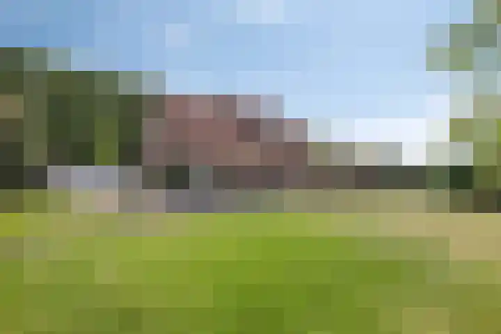 Zandberg 9 Maasbree thumbnail 56