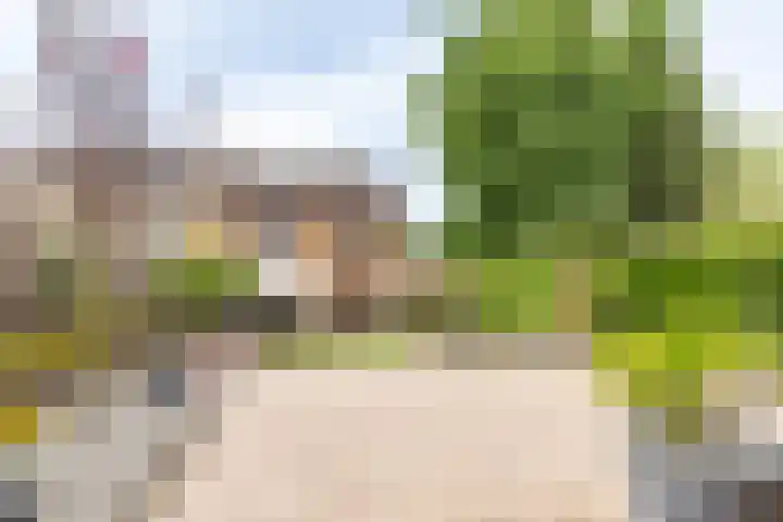 Zandberg 98 Bocholtz thumbnail 10