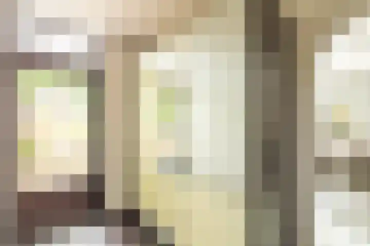 Zandberg 98 Bocholtz thumbnail 14