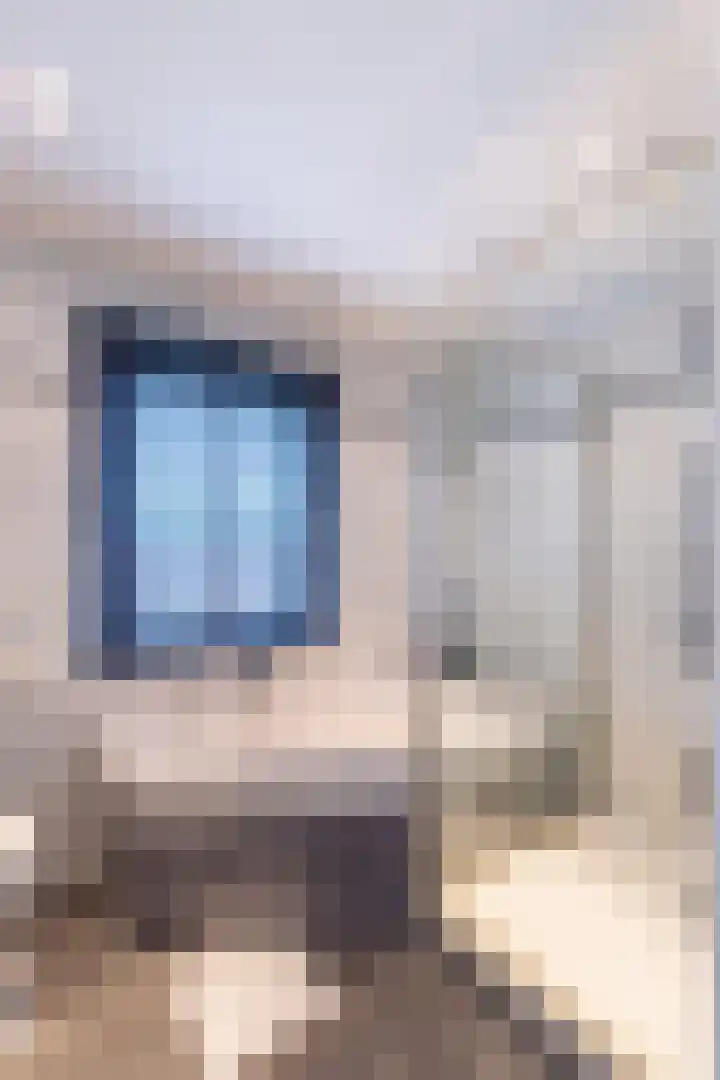 Zandberg 98 Bocholtz thumbnail 21