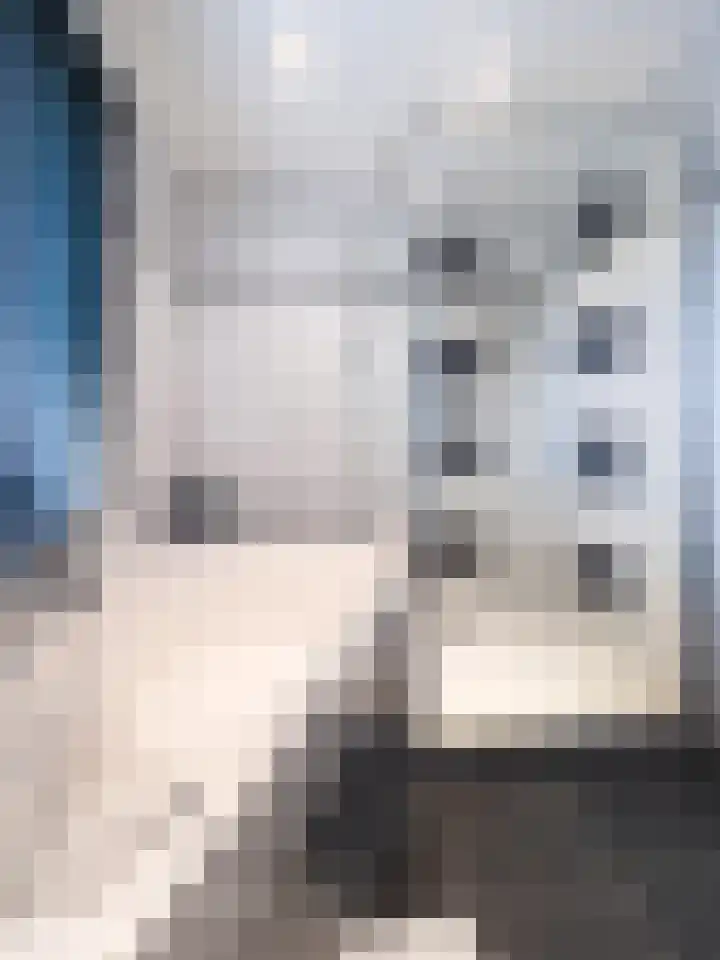 Zandberg 98 Bocholtz thumbnail 22
