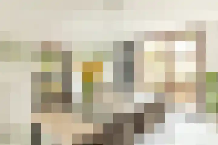 Zandberg 98 Bocholtz thumbnail 7