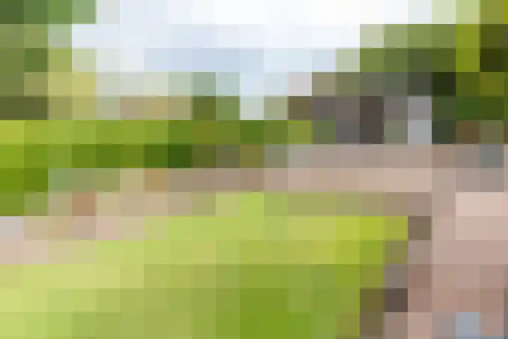 Zandberg 98 Bocholtz thumbnail 9