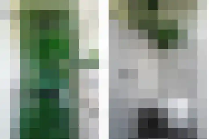 Zandbergdwarsstraat 3 Breda thumbnail 22