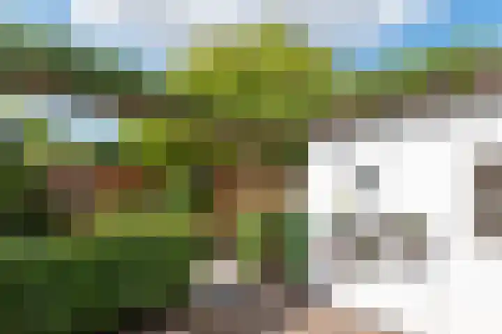 Zandbergdwarsstraat 3 Breda thumbnail 30