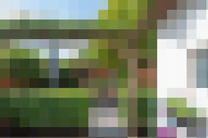 Zandbergdwarsstraat 3 Breda thumbnail 5
