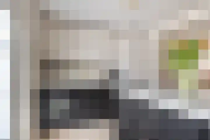 Zandbergdwarsstraat 6 Breda thumbnail 18