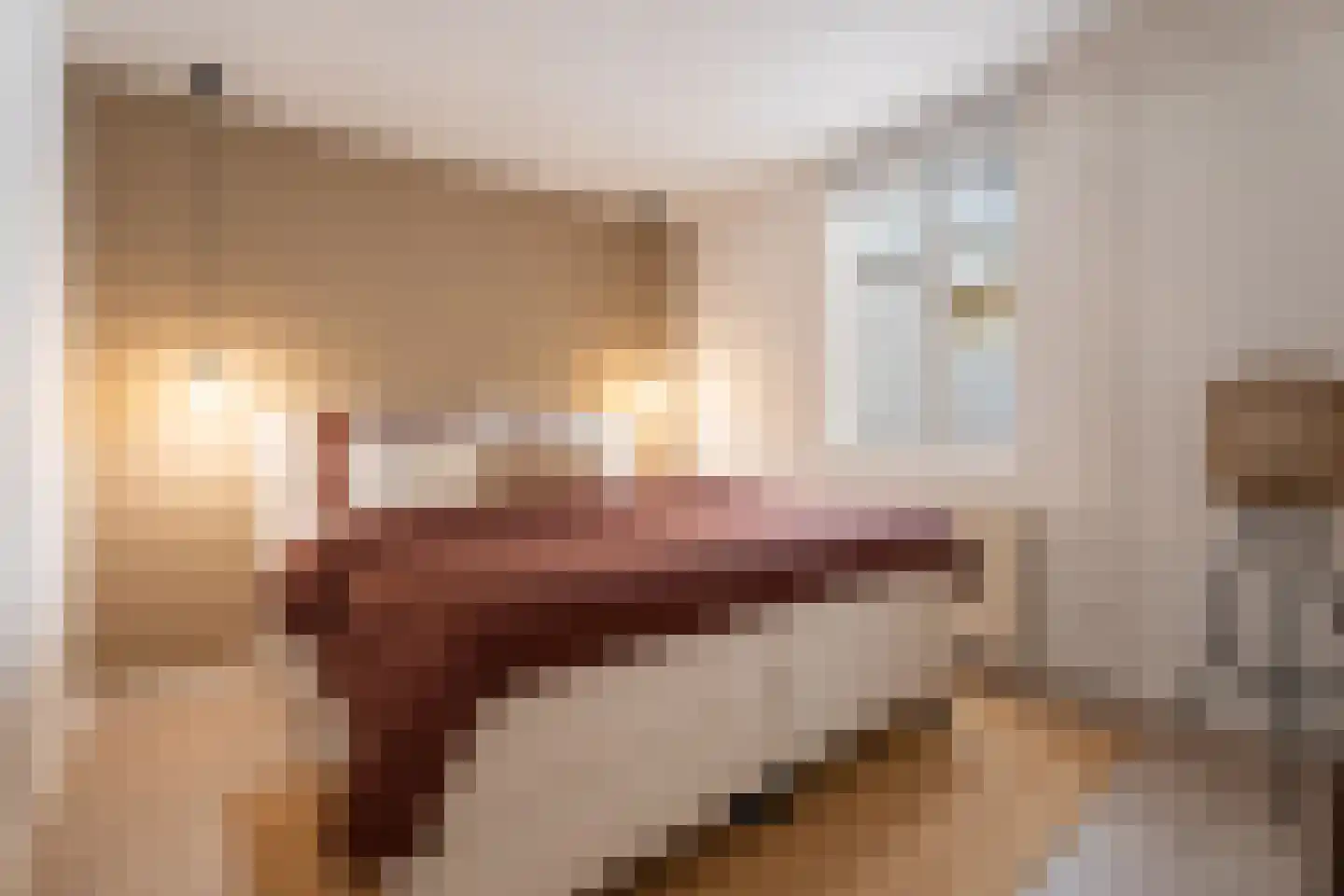 Zandbergdwarsstraat 6 Breda thumbnail 18