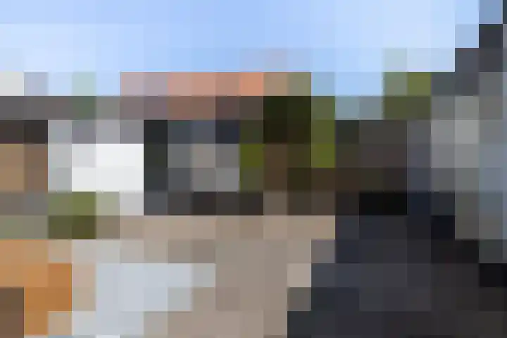 Zandbergdwarsstraat 6 Breda thumbnail 33