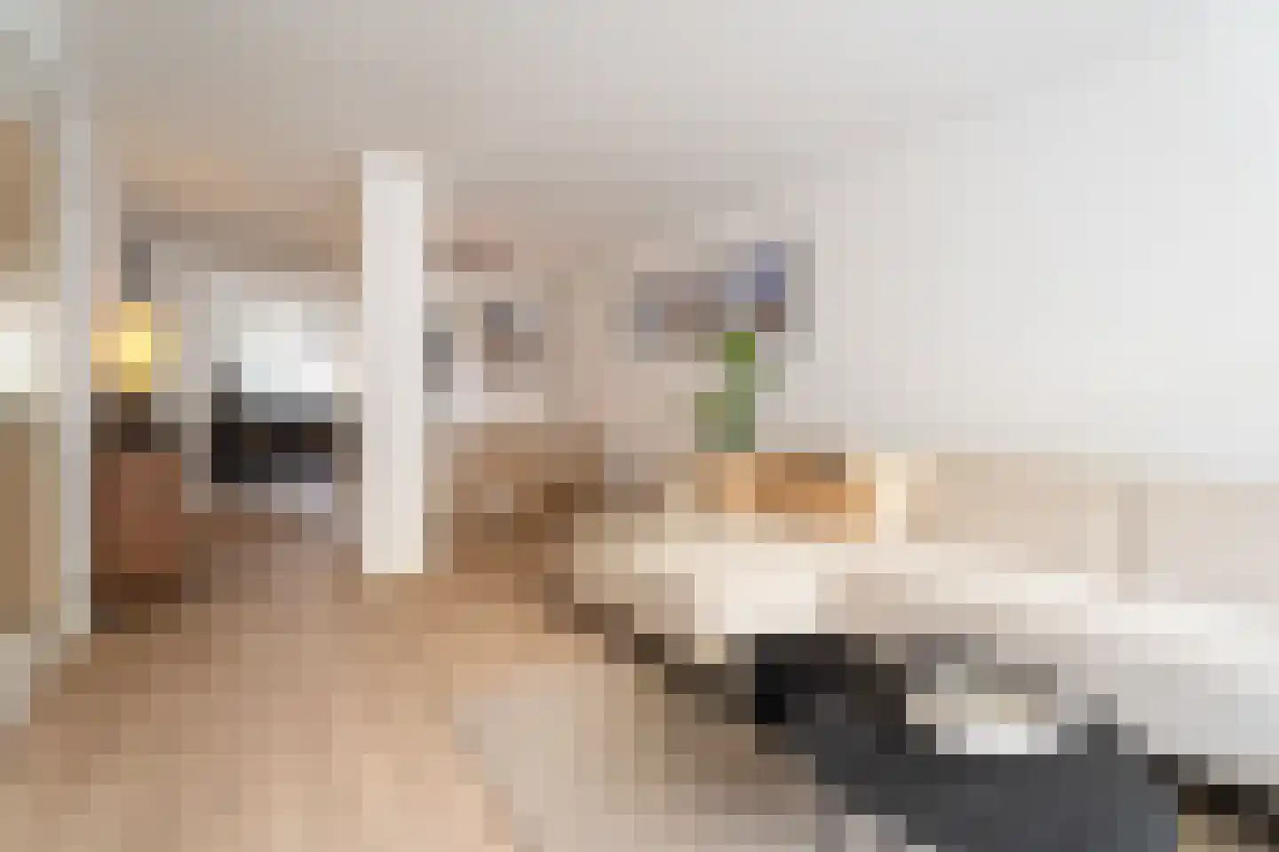 Zandbergdwarsstraat 6 Breda thumbnail 6