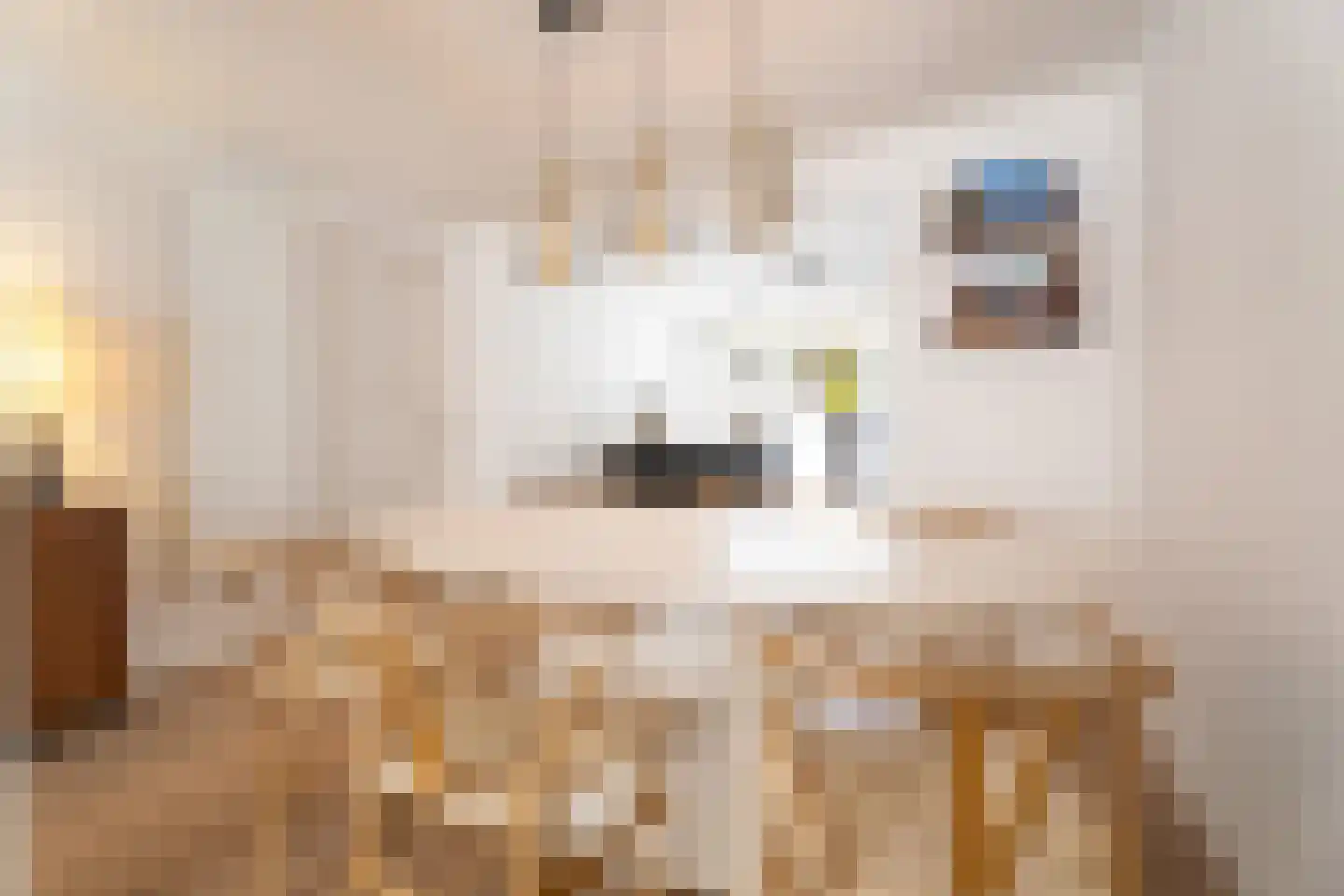 Zandbergdwarsstraat 6 Breda thumbnail 8