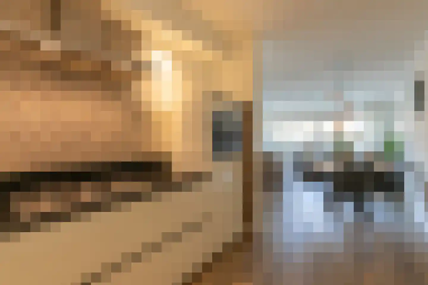 Zandbergenlaan 101 Amersfoort thumbnail 22