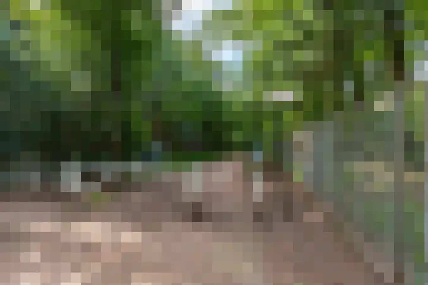 Zandbergenlaan 101 Amersfoort thumbnail 40