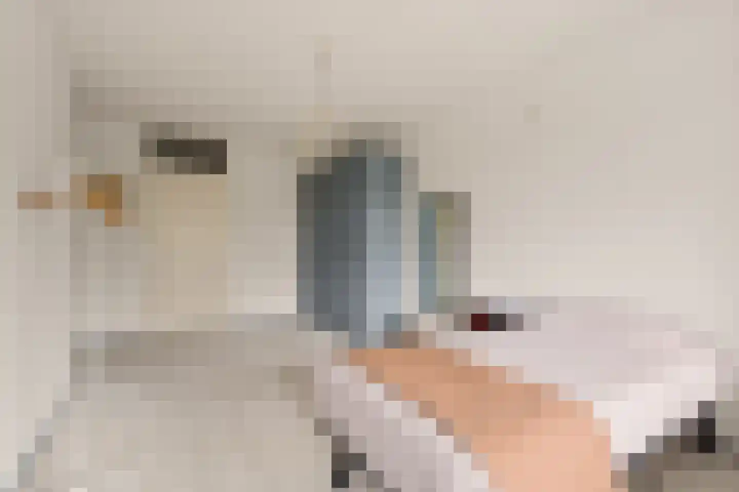 Zandbergenlaan 137 Amersfoort thumbnail 24