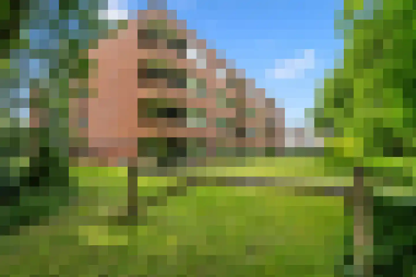 Zandbergenlaan 137 Amersfoort thumbnail 45