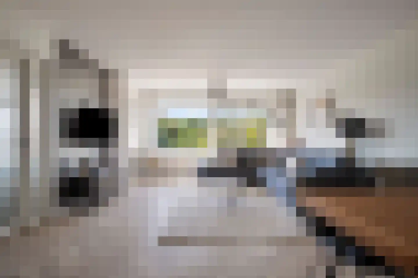 Zandbergenlaan 139 Amersfoort thumbnail 11