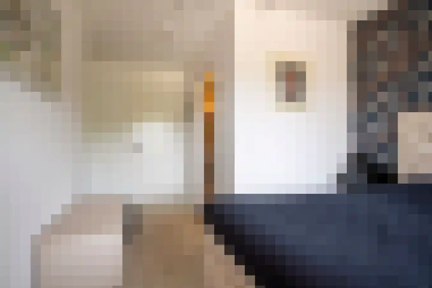 Zandbergenlaan 139 Amersfoort thumbnail 21