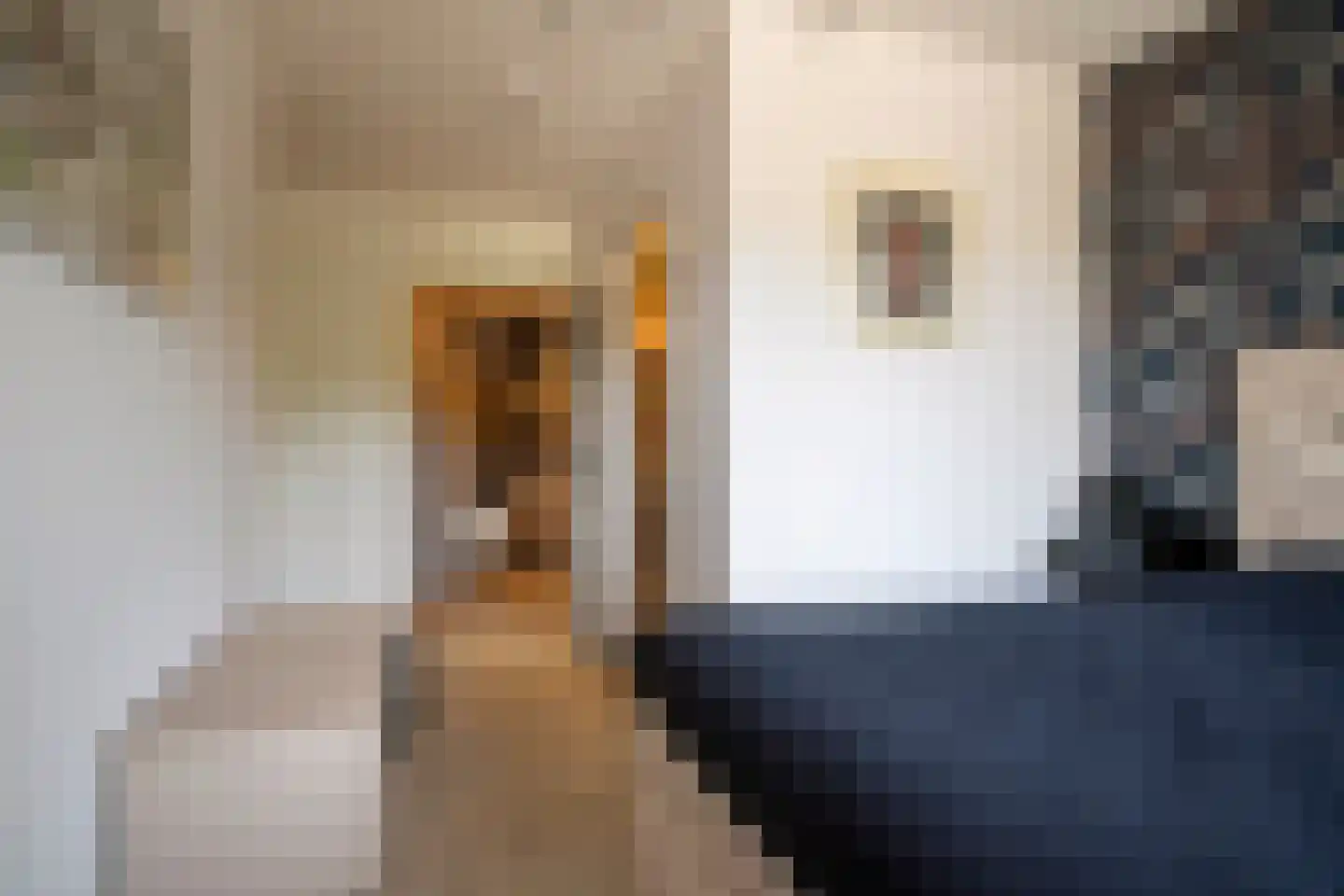 Zandbergenlaan 139 Amersfoort thumbnail 22