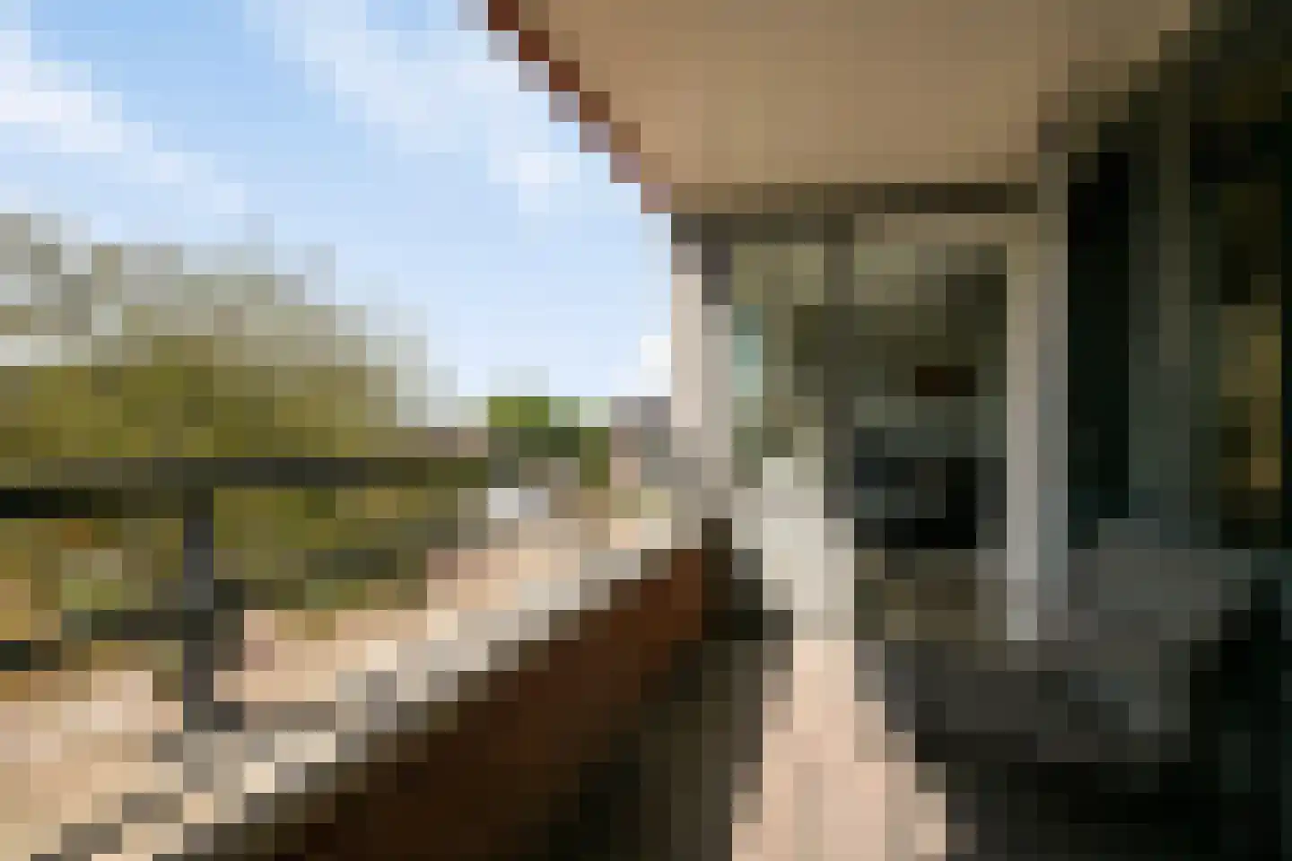Zandbergenlaan 139 Amersfoort thumbnail 28