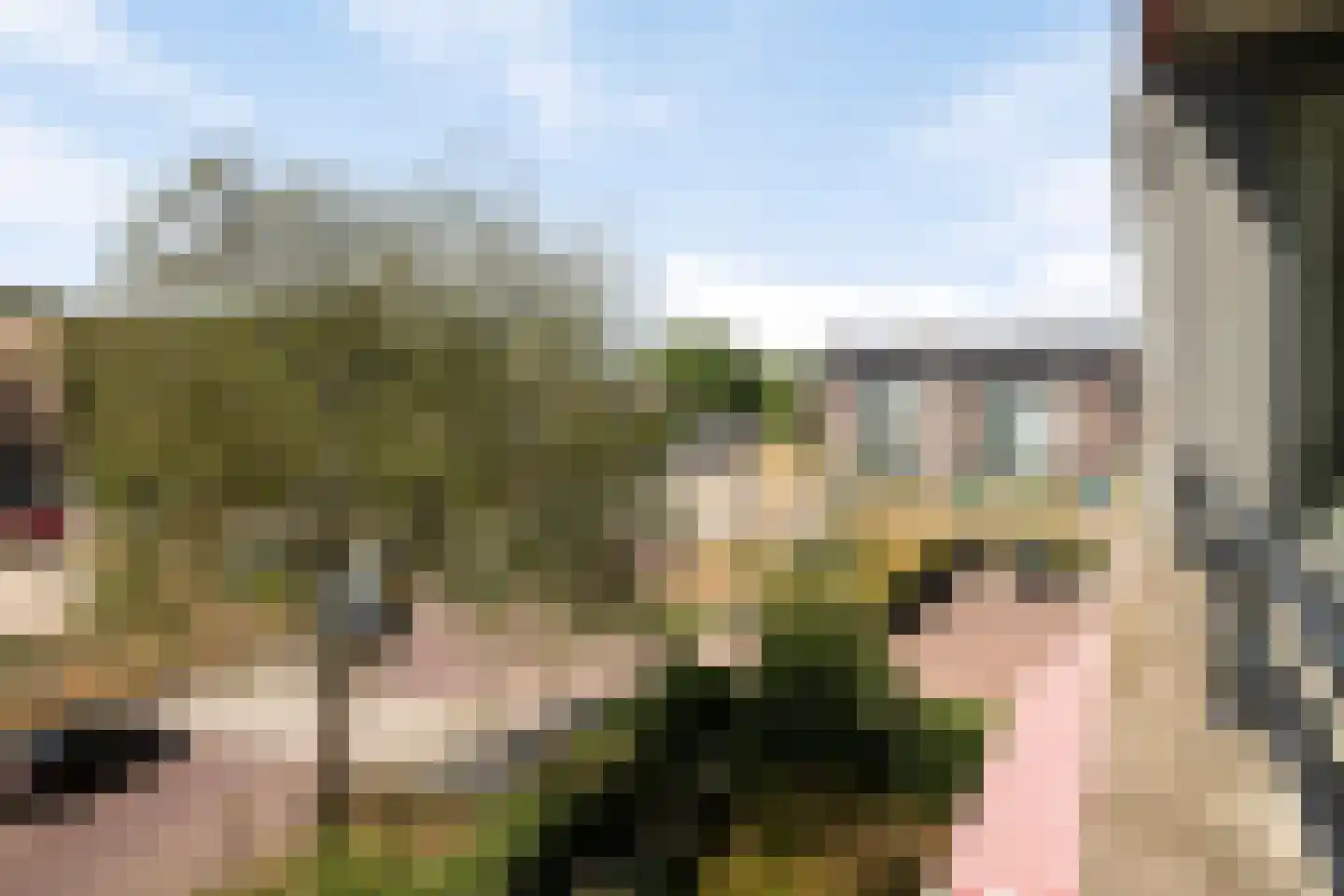 Zandbergenlaan 139 Amersfoort thumbnail 29