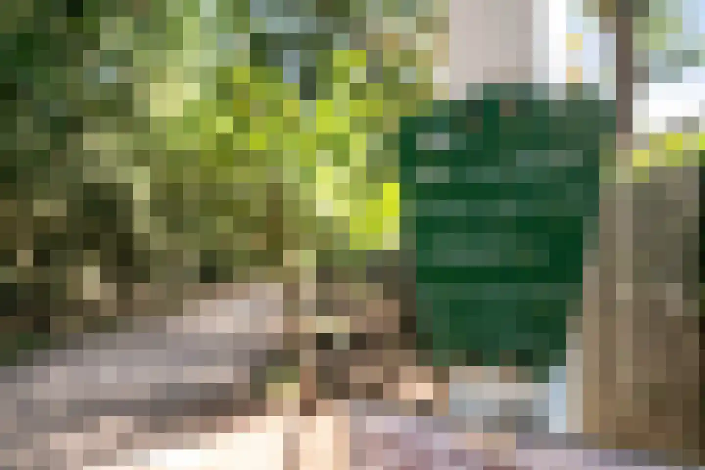 Zandbergenlaan 139 Amersfoort thumbnail 32