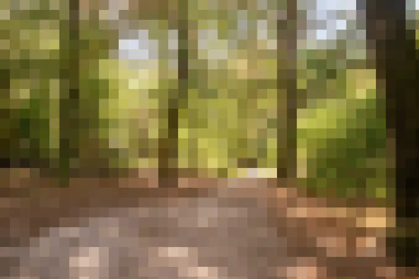 Zandbergenlaan 139 Amersfoort thumbnail 33