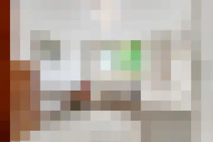 Zandbergenlaan 18 Amersfoort thumbnail 25