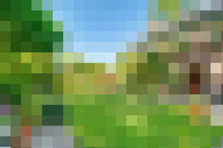 Zandbergenlaan 18 Amersfoort thumbnail 41