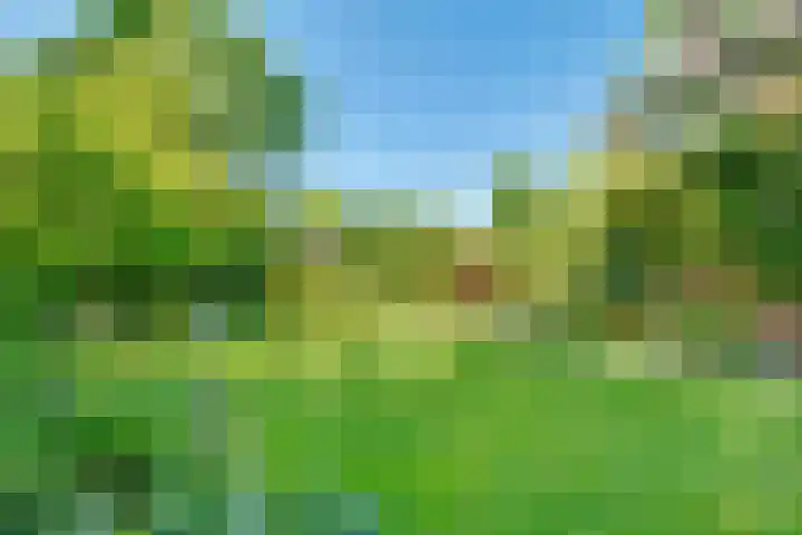 Zandbergenlaan 18 Amersfoort thumbnail 42