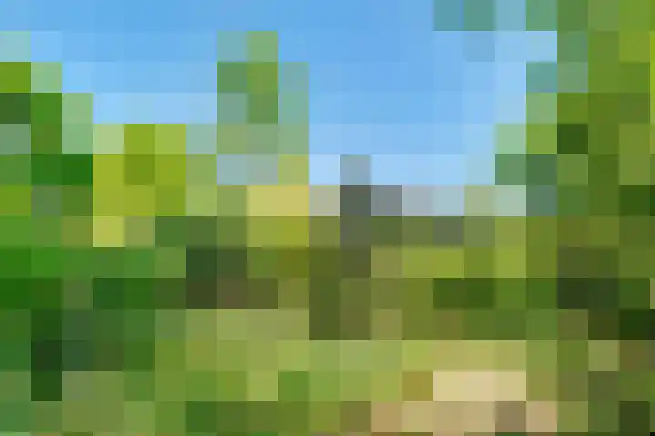 Zandbergenlaan 18 Amersfoort thumbnail 48