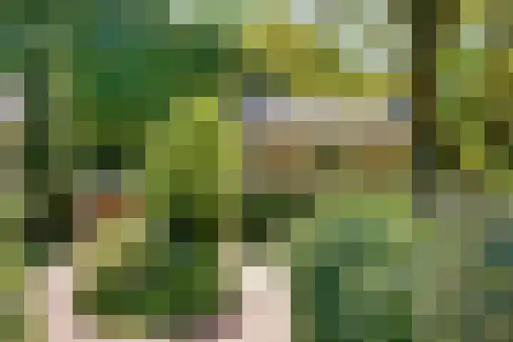 Zandbergenlaan 18 Amersfoort thumbnail 52